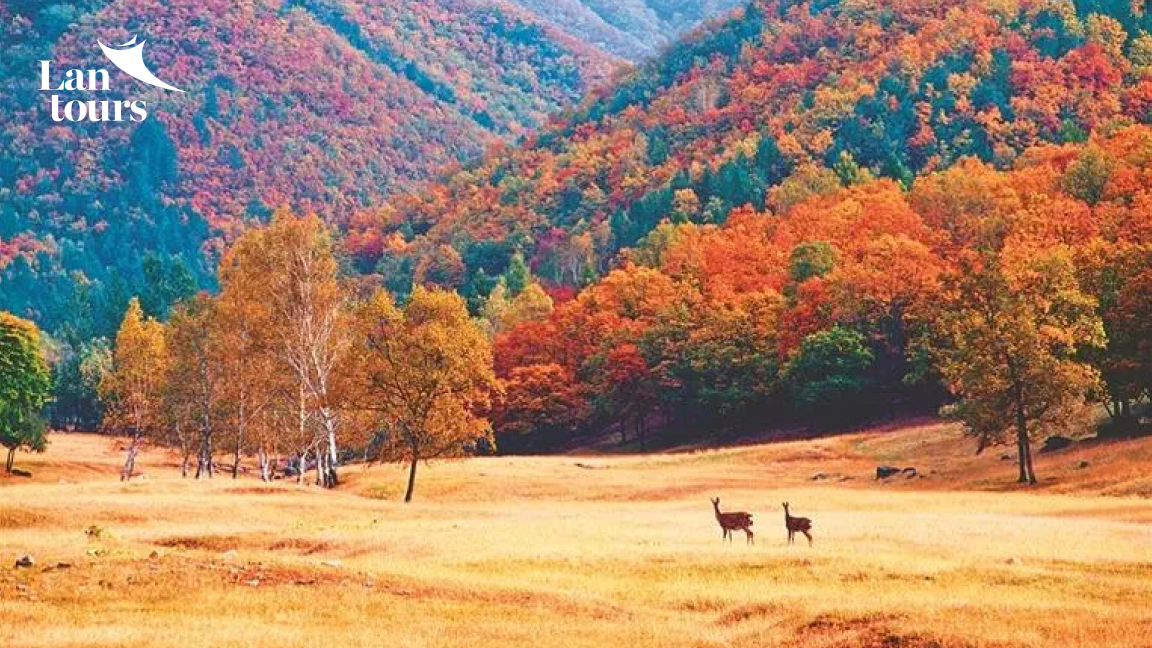 Nhất Thống Cương Hồ - Nam Bắc Tân Cương