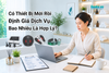 Có Thiết Bị Mới Rồi, Định Giá Dịch Vụ Bao Nhiêu Là Hợp Lý?
