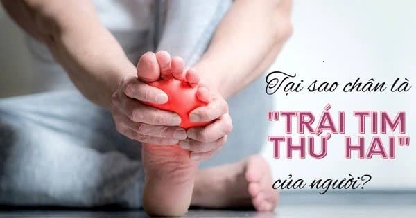 GIẢI MÃ: VÌ SAO 