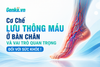 Cơ Chế Lưu Thông Máu Ở Bàn Chân Và Vai Trò Quan Trọng Đối Với Sức Khỏe !