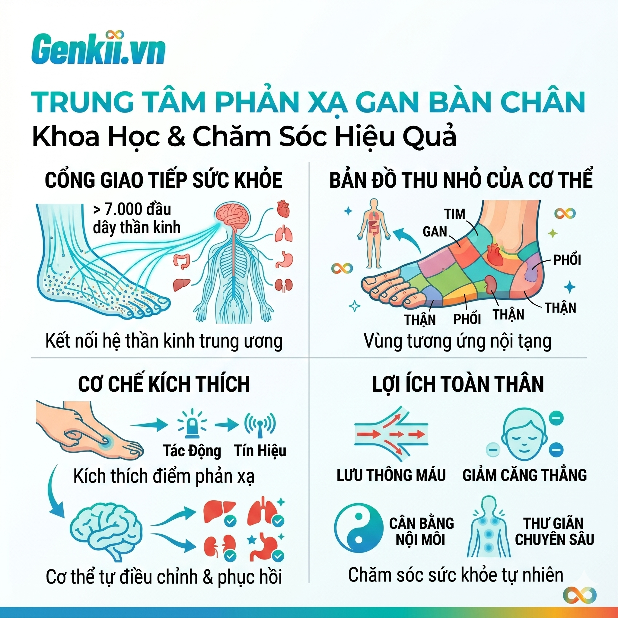 Vì sao gan bàn chân lại là “trung tâm phản xạ” của cơ thể? Giải mã khoa học & cách chăm sóc hiệu quả.