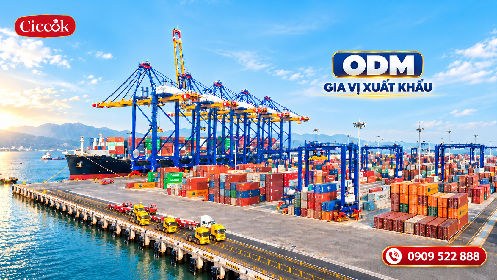 ODM GIA VỊ XUẤT KHẨU: NHỮNG YẾU TỐ CẦN CHUẨN BỊ NGAY TỪ KHÂU R&D