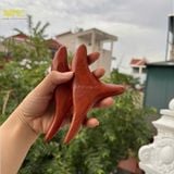 Dụng Cụ Đay Huyệt Con Én Gỗ Hương: Bí Quyết 