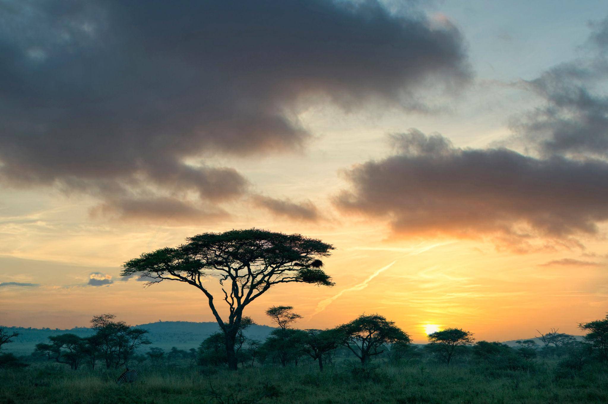 TANZANIA – VÙNG ĐẤT CỦA SERENGETI HUYỀN THOẠI VÀ MÙA ĐẠI DI CƯ CHÂU PHI
