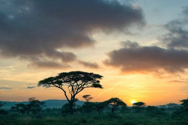 TANZANIA – VÙNG ĐẤT CỦA SERENGETI HUYỀN THOẠI VÀ MÙA ĐẠI DI CƯ CHÂU PHI