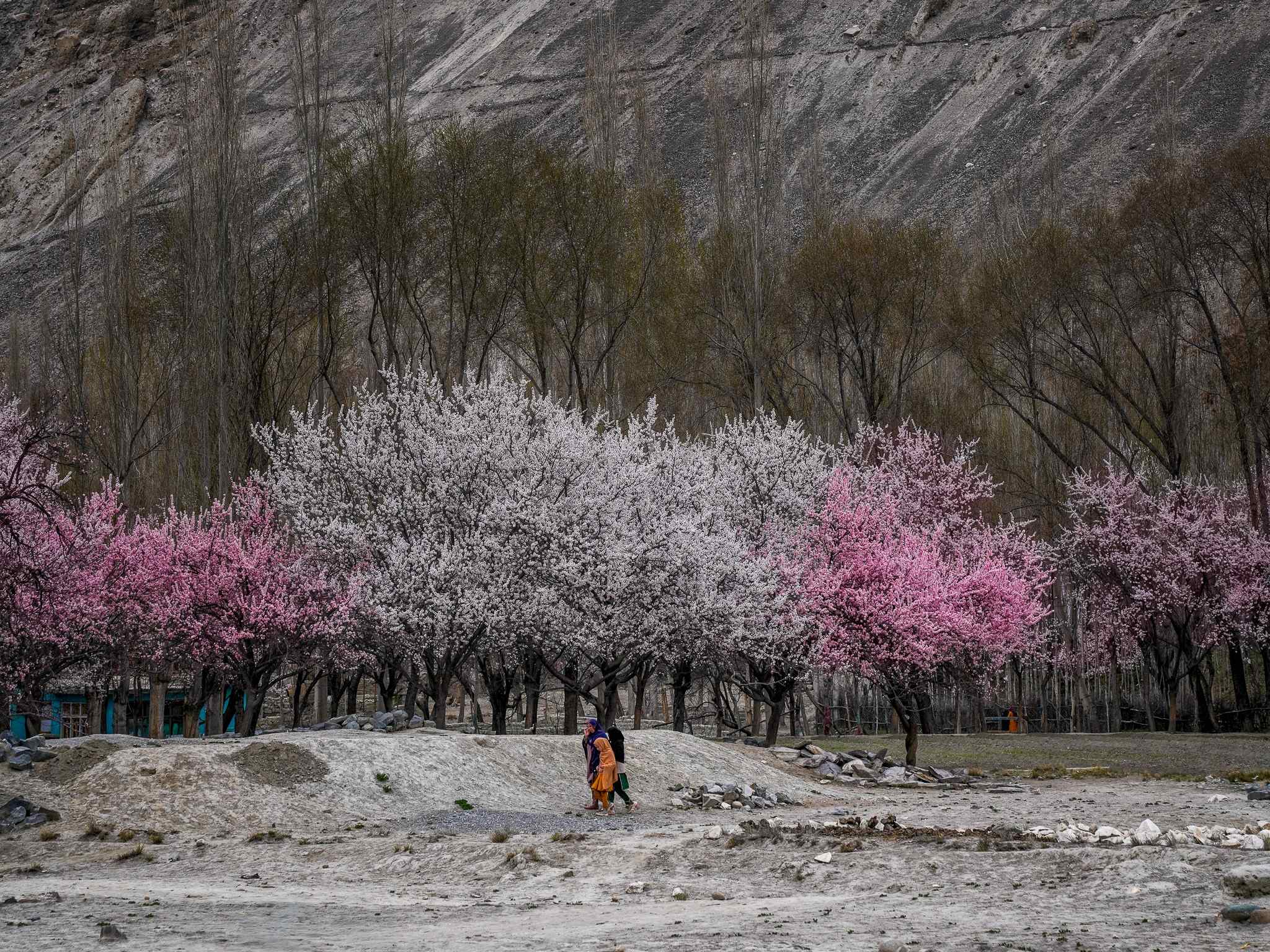DU LỊCH TRUNG Á MÙA XUÂN – HÀNH TRÌNH THỨC GIẤC NHỮNG VÙNG ĐẤT HUYỀN THOẠI