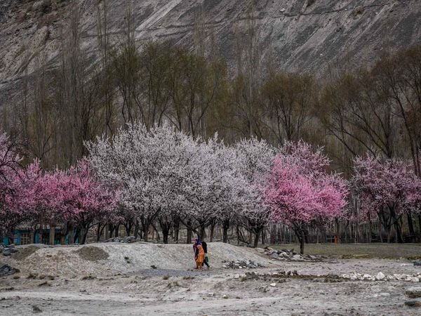 DU LỊCH TRUNG Á MÙA XUÂN – HÀNH TRÌNH THỨC GIẤC NHỮNG VÙNG ĐẤT HUYỀN THOẠI