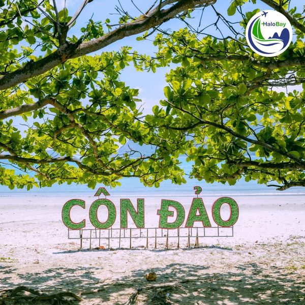 DU LỊCH CÔN ĐẢO – HÀNH TRÌNH ĐẦU NĂM CHO TÂM HỒN AN YÊN