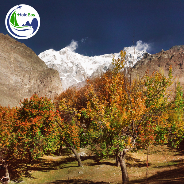 DU LỊCH HUNZA PAKISTAN MÙA THU – THIÊN ĐƯỜNG LÁ VÀNG GIỮA NHỮNG ĐỈNH NÚI HÙNG VĨ
