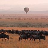 THE GREAT MIGRATION – CUỘC ĐẠI DI CƯ VĨ ĐẠI NHẤT HÀNH TINH