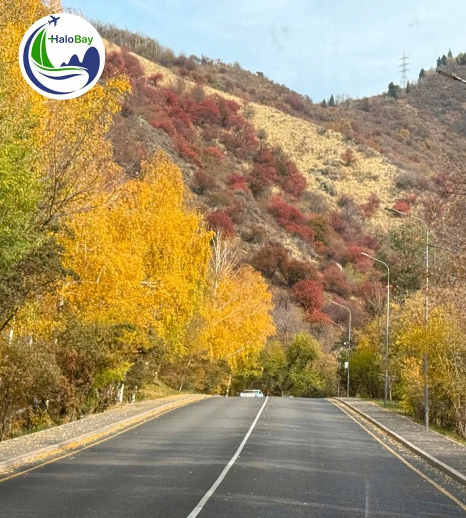 MÙA THU TRUNG Á – KHI KAZAKHSTAN VÀ KYRGYZSTAN KHOÁC LÊN MÌNH SẮC VÀNG TUYỆT ĐẸP
