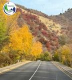 MÙA THU TRUNG Á – KHI KAZAKHSTAN VÀ KYRGYZSTAN KHOÁC LÊN MÌNH SẮC VÀNG TUYỆT ĐẸP