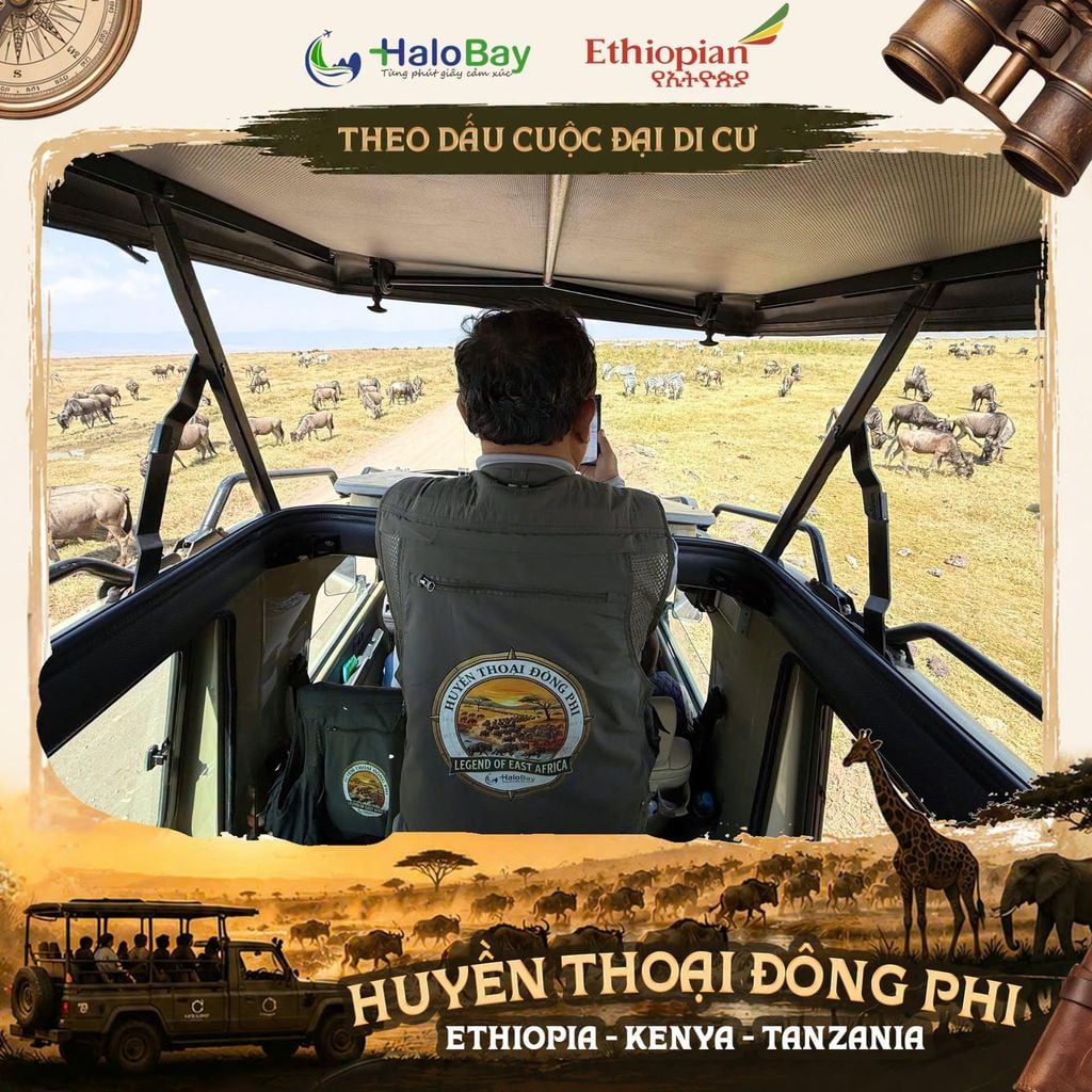 DU LỊCH ĐÔNG PHI MÙA NÀO ĐẸP NHẤT? THỜI ĐIỂM LÝ TƯỞNG ĐỂ SĂN MÙA ĐẠI DI CƯ