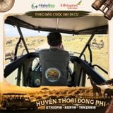 DU LỊCH ĐÔNG PHI MÙA NÀO ĐẸP NHẤT? THỜI ĐIỂM LÝ TƯỞNG ĐỂ SĂN MÙA ĐẠI DI CƯ