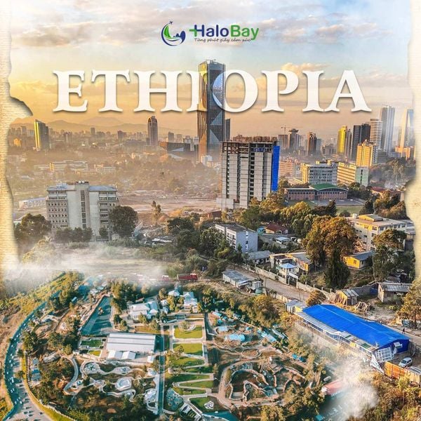 Ethiopia – Linh Hồn Văn Hóa Châu Phi | Hành Trình Khám Phá Cội Nguồn Nhân Loại