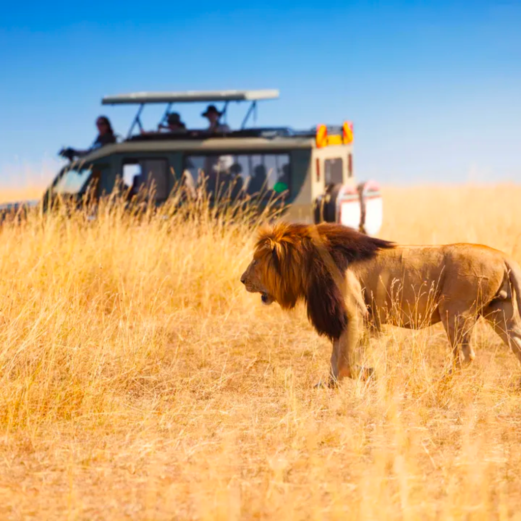 HÀNH TRÌNH HUYỀN THOẠI ĐÔNG PHI – CHUYẾN ĐI CỦA NHỮNG AI KHÁT KHAO TỰ DO