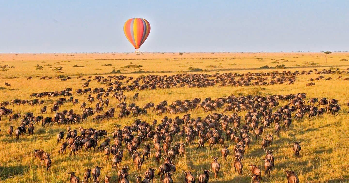 Tour Đông Phi 10 Ngày 9 Đêm: Ethiopia – Kenya – Tanzania – Zanzibar Hành trình mùa thú di cư ngoạn mục nhất hành tinh