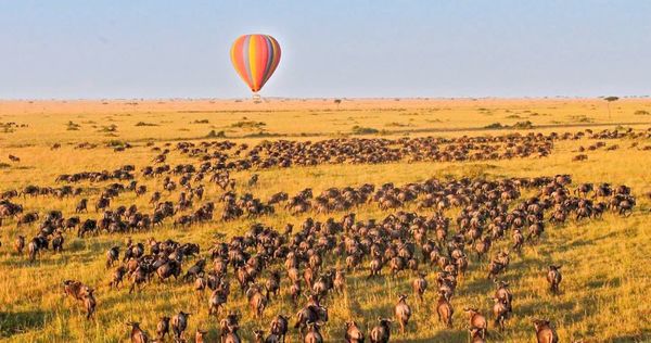 Tour Đông Phi 10 Ngày 9 Đêm: Ethiopia – Kenya – Tanzania – Zanzibar Hành trình mùa thú di cư ngoạn mục nhất hành tinh
