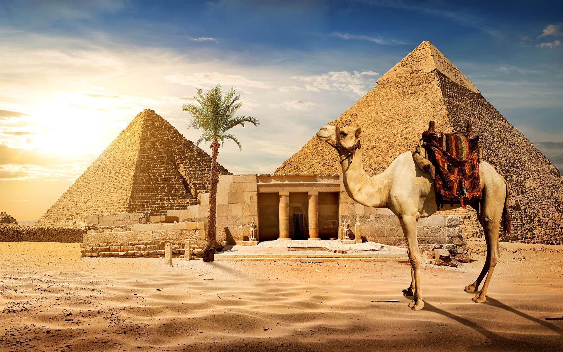 TRẢI NGHIỆM CƯỠI LẠC ĐÀ TẠI SA MẠC SAHARA – HÀNH TRÌNH KHÁM PHÁ VẺ ĐẸP HUYỀN BÍ CỦA AI CẬP