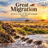 Great Migration – Kỳ di cư vĩ đại của thế giới hoang dã Đông Phi