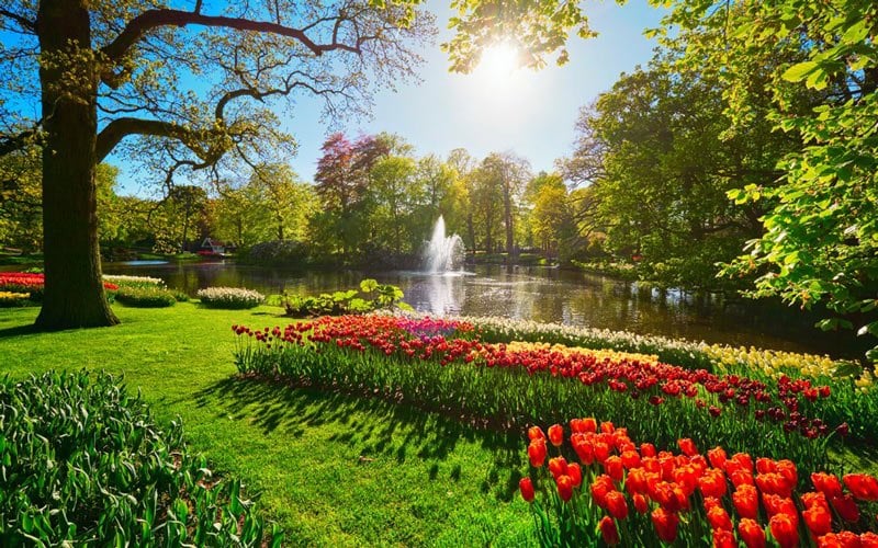 KHÁM PHÁ LAHORE – NÉT KIÊU HÃNH CỦA PAKISTAN TRONG MÙA XUÂN DIỆU KỲ