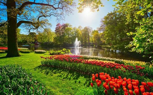 KHÁM PHÁ LAHORE – NÉT KIÊU HÃNH CỦA PAKISTAN TRONG MÙA XUÂN DIỆU KỲ