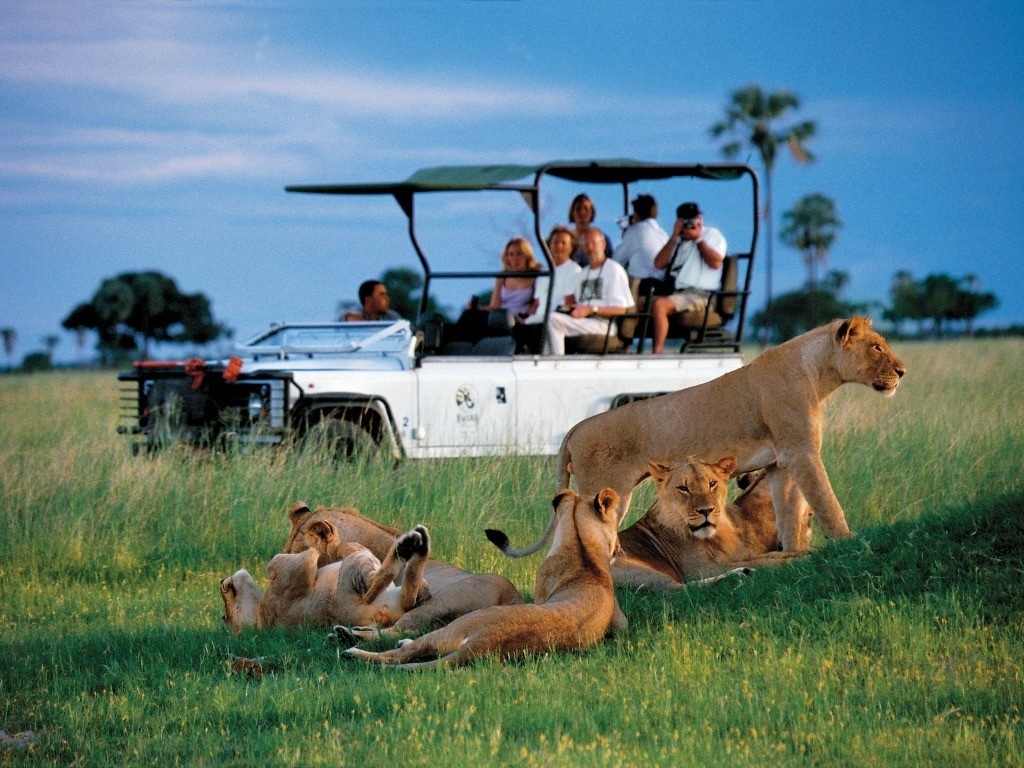 KINH NGHIỆM DU LỊCH ĐÔNG PHI: Thời điểm, chi phí, visa, hành lý chuẩn nhất cho mùa thú di cư