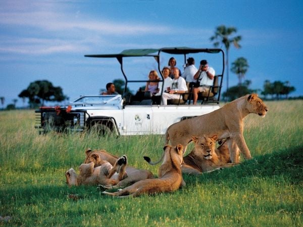 KINH NGHIỆM DU LỊCH ĐÔNG PHI: Thời điểm, chi phí, visa, hành lý chuẩn nhất cho mùa thú di cư