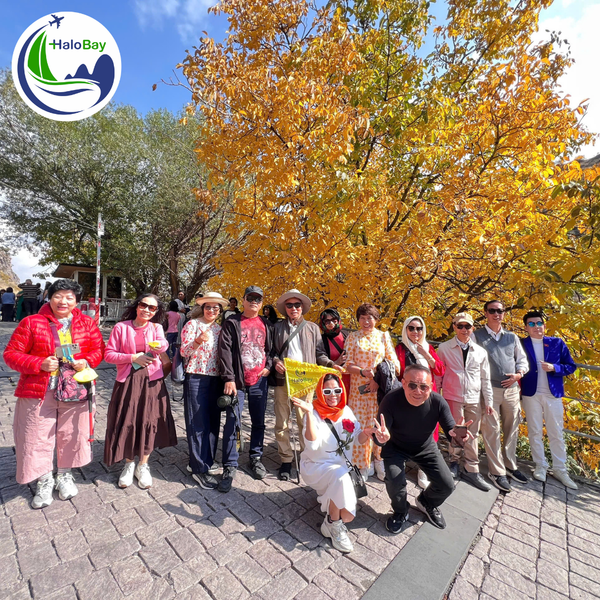 TÂY Á ĐÃ CHÍNH THỨC ĐÓN CHÀO ĐOÀN KHÁCH HALOBAY TRAVEL