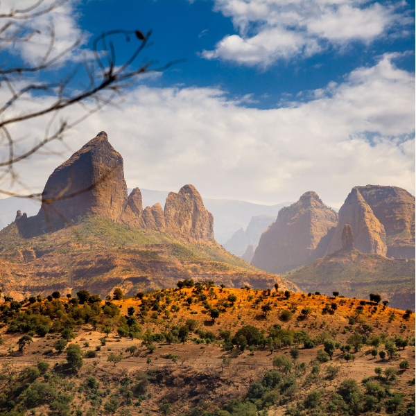 VĂN HÓA ETHIOPIA – KHÁM PHÁ MỘT TRONG NHỮNG NỀN VĂN MINH LÂU ĐỜI NHẤT CHÂU PHI