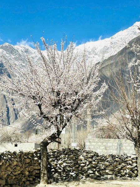 VÌ SAO PAKISTAN MÙA XUÂN 2026 LÀ ĐIỂM ĐẾN “ĐÁNG ĐI TRƯỚC KHI QUÁ ĐÔNG”?