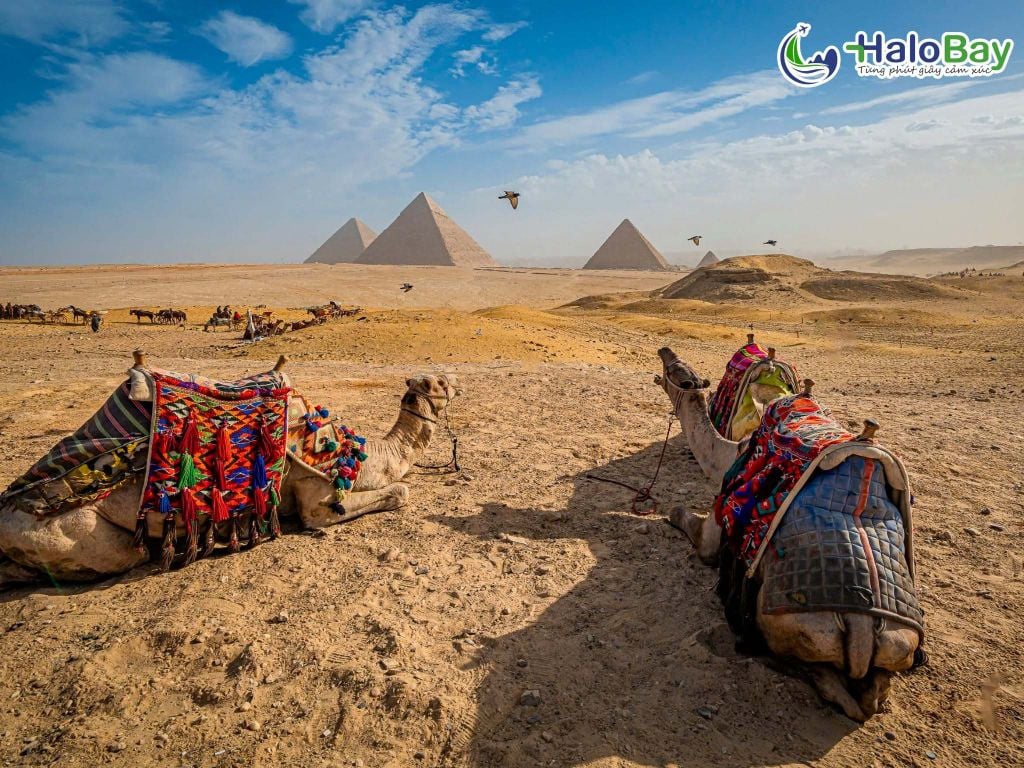 Kim tự tháp Giza Cairo Ai Cập trong tour Jordan Ai Cập Ethiopia