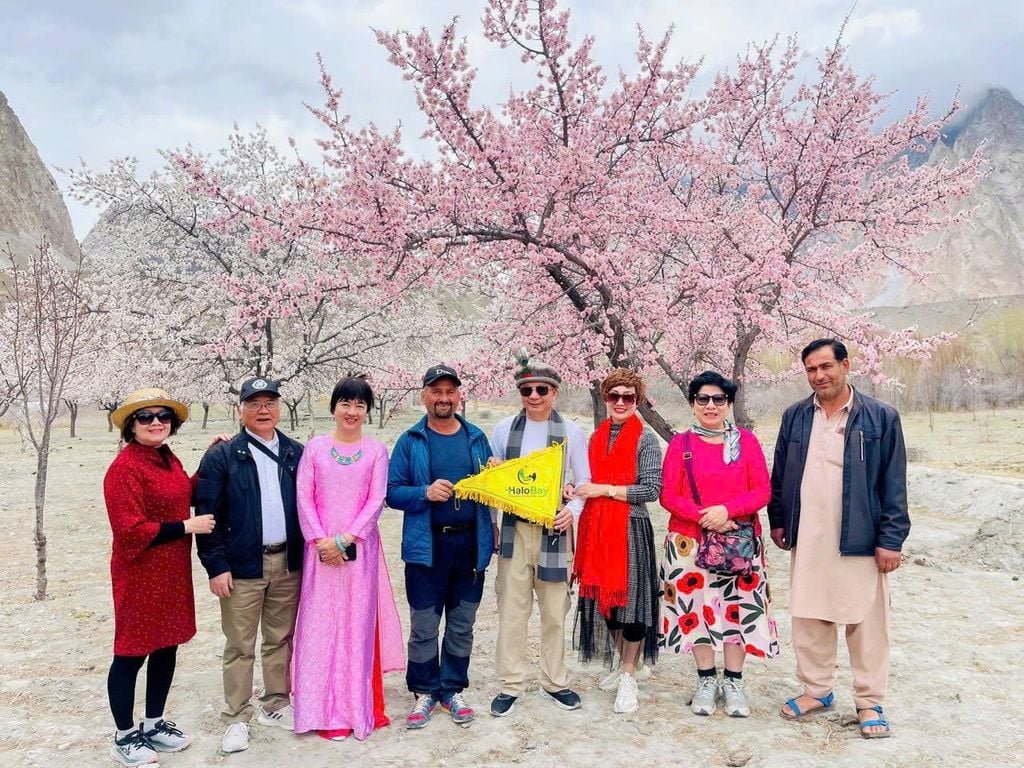 Hunza Pakistan mùa xuân với hoa mơ và núi tuyết Karakoram