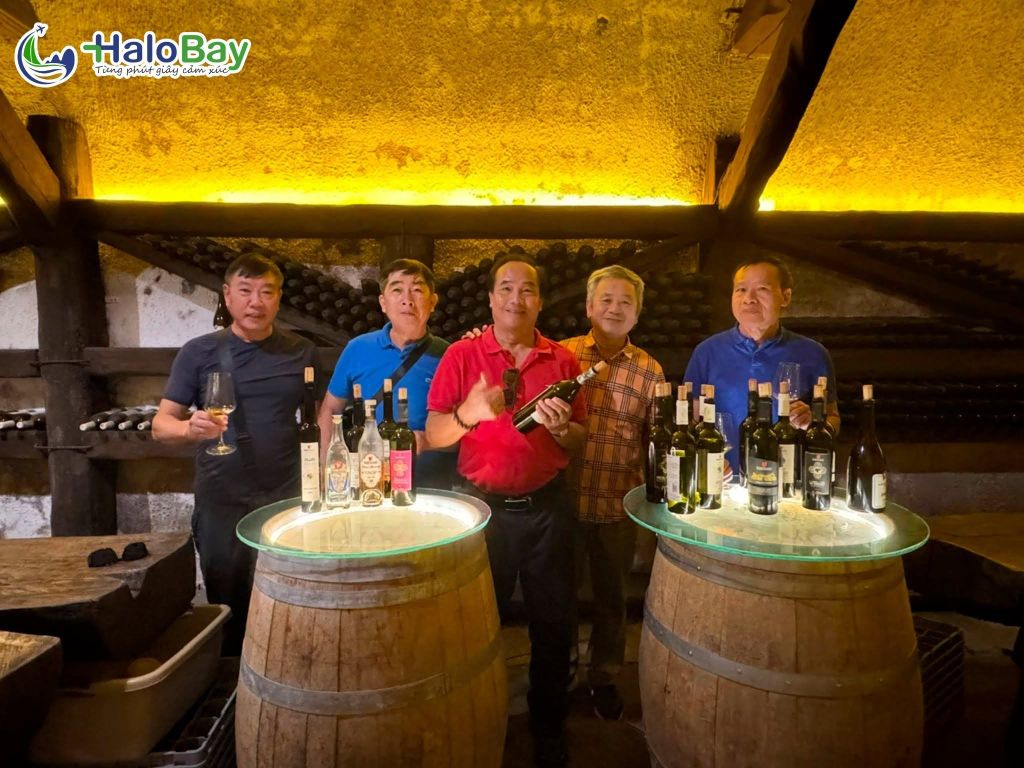 Đoàn khách HaloBay Travel tham quan hầm rượu Khareba Georgia
