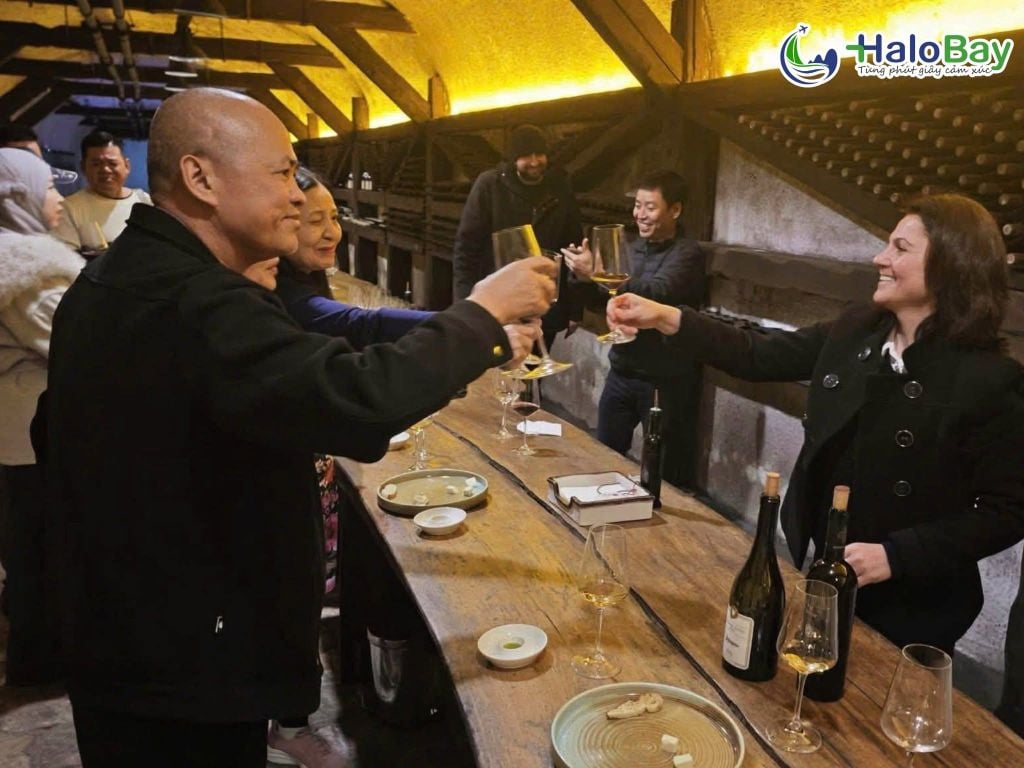 Đoàn khách HaloBay Travel thưởng thức rượu vang tại Khareba Georgia