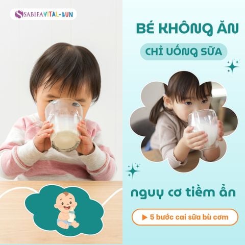 Bé không chịu ăn, chỉ uống sữa: Nguy cơ tiềm ẩn và 5 bước cai sữa bù cơm hiệu quả