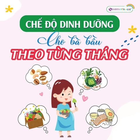 CHẾ ĐỘ DINH DƯỠNG CHO BÀ BẦU THEO TỪNG THÁNG