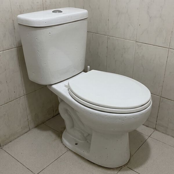 Sự Thật Về Bồn Cầu Giá Rẻ: Bài Toán Đầu Tư Tiết Kiệm & An Toàn (AI Generated)