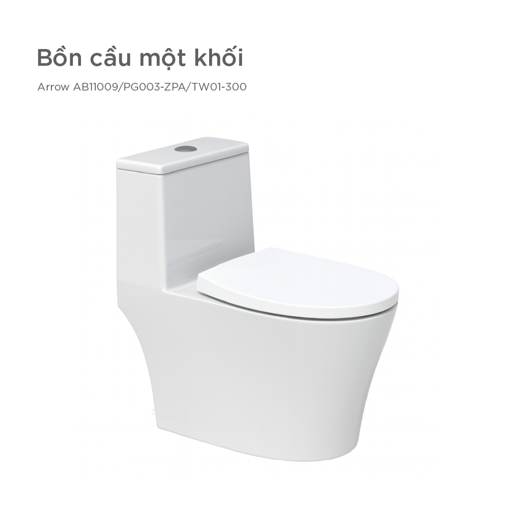 Bồn cầu một khối Arrow AB11009/PG003-ZPA/TW01-300