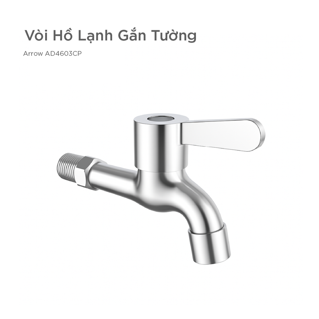 Vòi Hồ Lạnh Gắn Tường Arrow AD4603CP