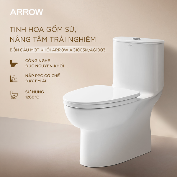 Sự Thật Về Bồn Cầu Giá Rẻ: Bài Toán Đầu Tư Tiết Kiệm & An Toàn