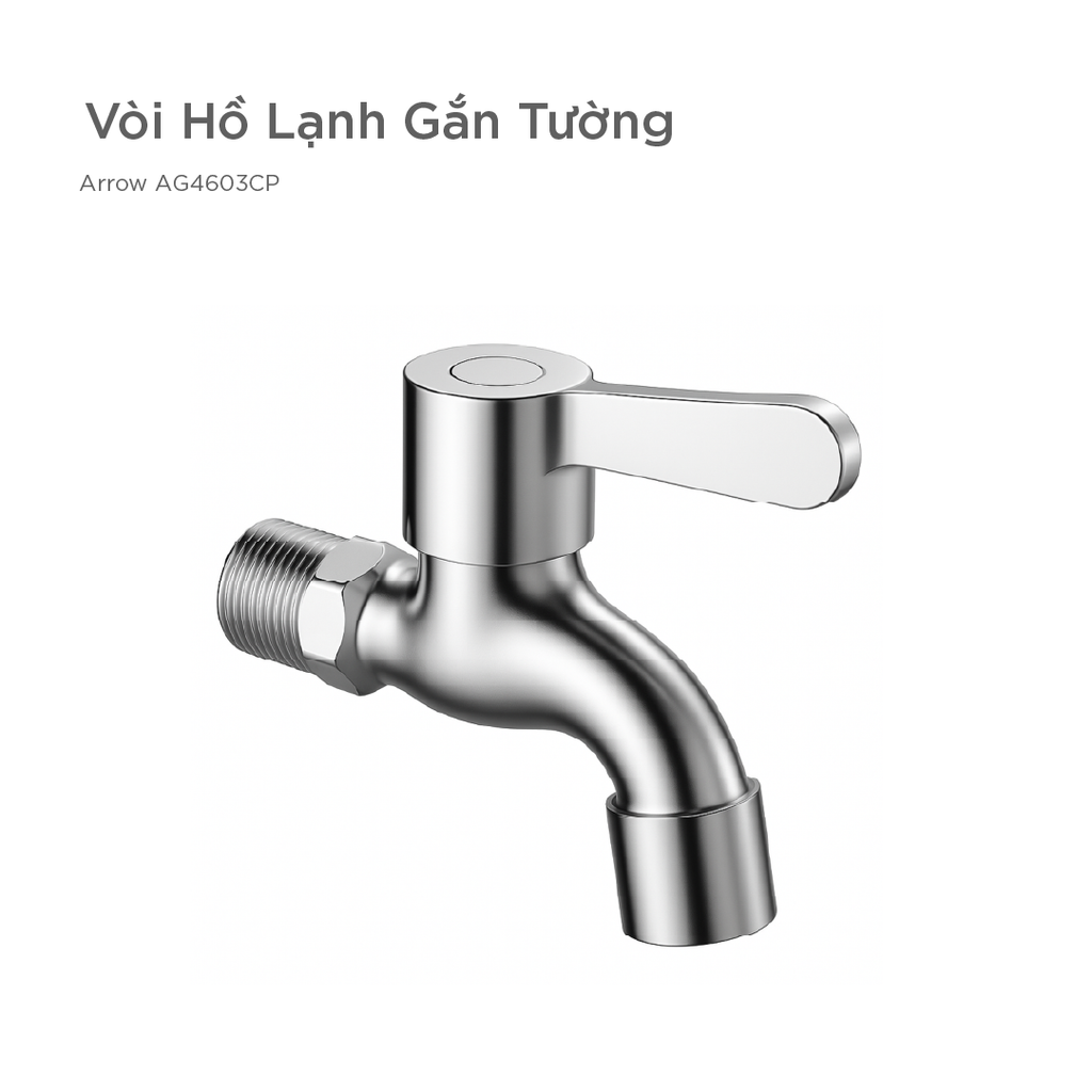 Vòi Hồ Lạnh Gắn Tường Arrow AG4603CP