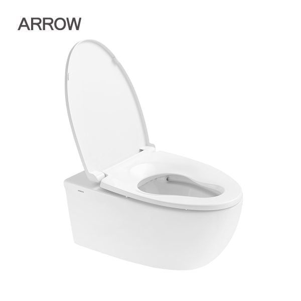 Bồn cầu treo tường Arrow AHB2162H/PG015-ZPA