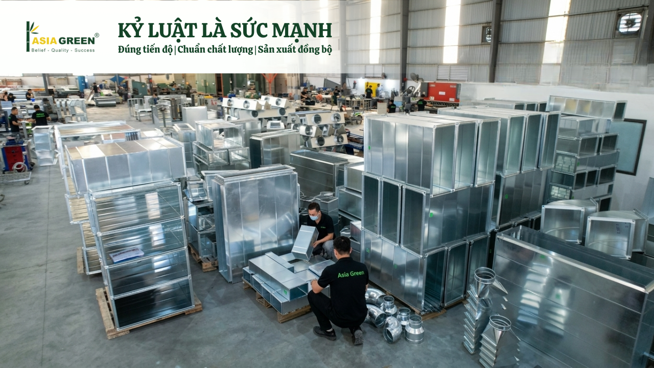 Tại Sao Nhà Thầu Lớn Chọn Asia Green? Triết Lý Kỷ Luật Là Sức Mạnh