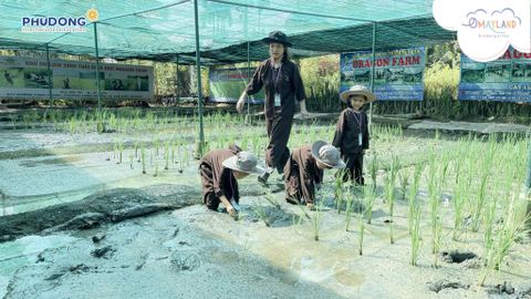 CUỘC PHIÊU LƯU Ở NÔNG TRẠI RỒNG – HÀNH TRÌNH NHỎ, NIỀM VUI LỚN