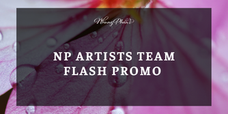 NP Artists Team Flash Promo