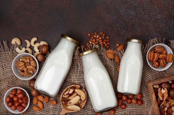 SỮA HẠT CÓ ĐẦY ĐỦ DINH DƯỠNG NHƯ SỮA TƯƠI? Giới Thiệu Sữa Hạt Dinh Dưỡng GaiAmil