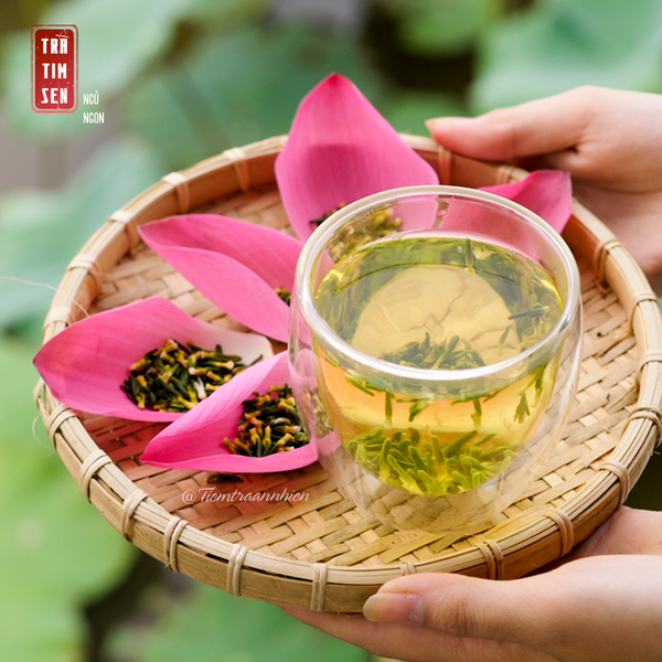 Trà Tâm Sen: Bí Quyết Giấc Ngủ Ngon và Triết Lý Chữa Bệnh Từ Gốc Rễ