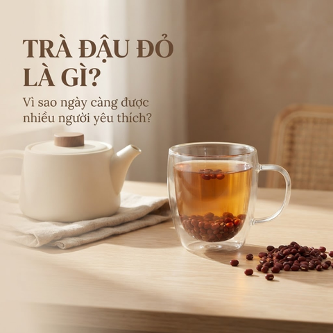 Trà Đậu Đỏ Là Gì? Vì Sao Ngày Càng Được Nhiều Người Yêu Thích?