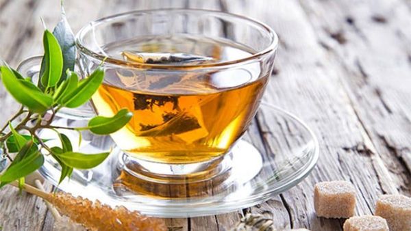 Trà Đinh Lăng: Vị Thuốc An Thần Ngàn Năm và Sự Thật Khoa Học Đằng Sau
